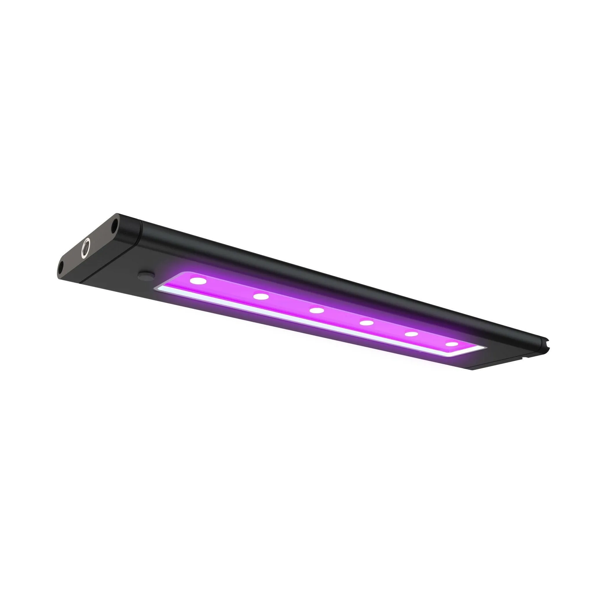 AI Blade Coral Glow LED - 66 Inch